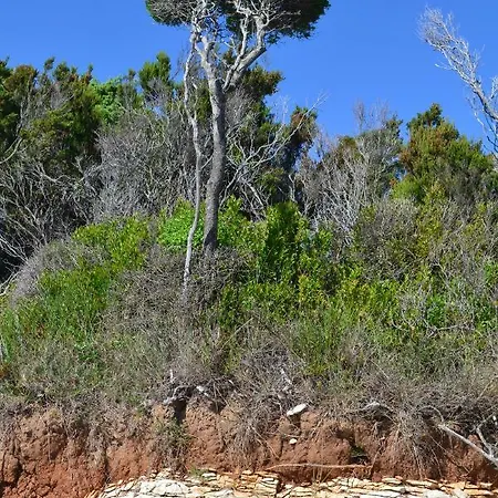 Abba Lejlighed Mali Lošinj