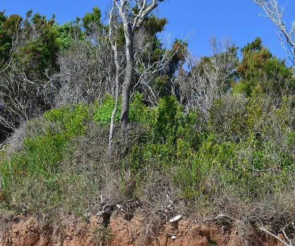 Abba アパート マリ・ロシニュ